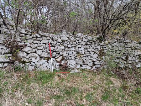 Arheološke raziskave