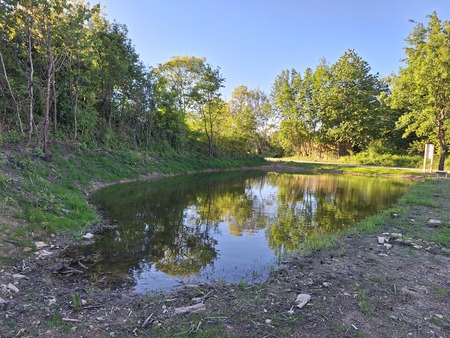 Nasirec manjši